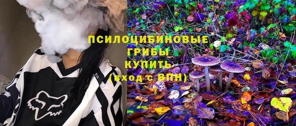индика Михайловск