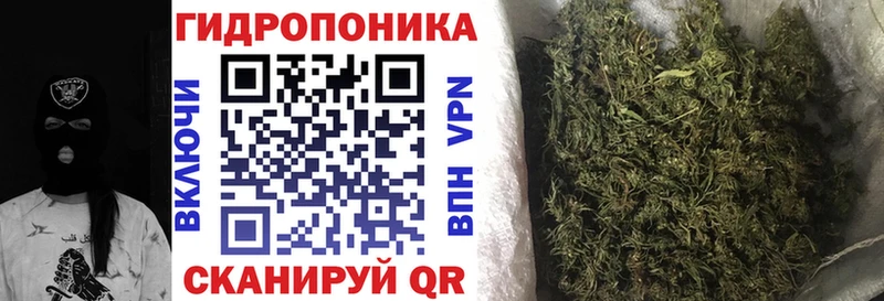 Марихуана сатива  цена наркотик  Алупка 